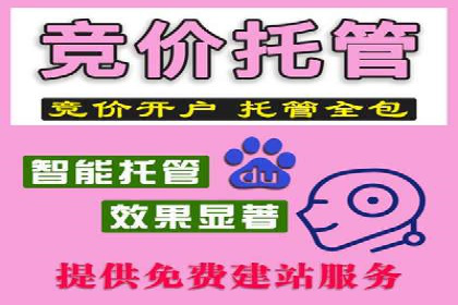百度竞价运营实战技巧案例分析